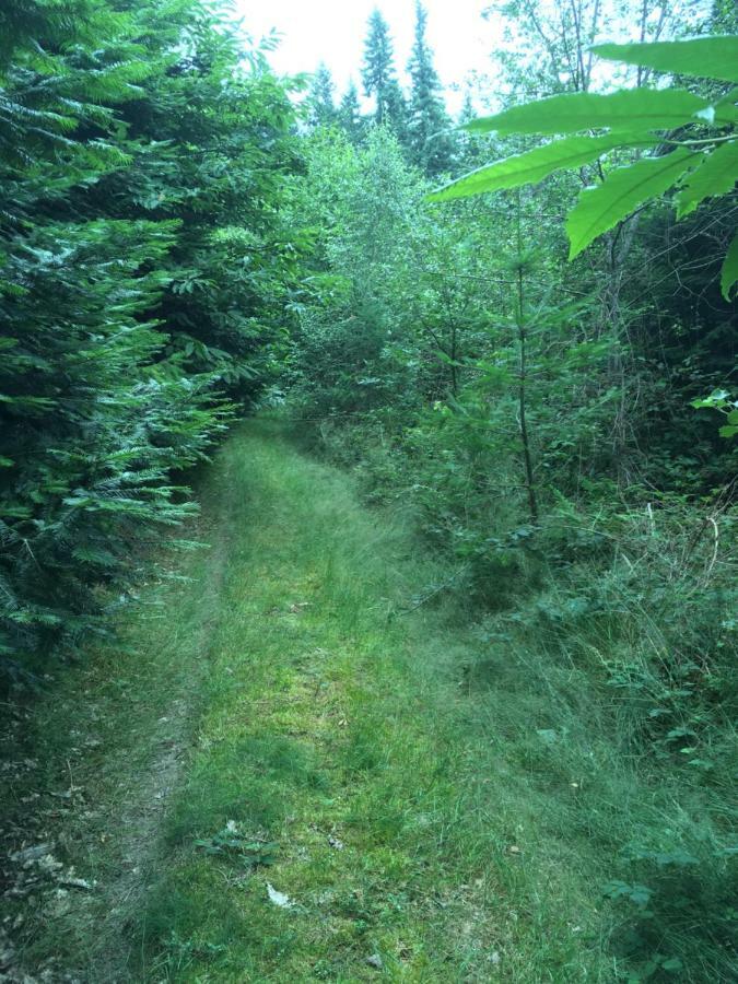 Foret Enchantee De Bourgogne La Celle-En-Morvan Eksteriør bilde