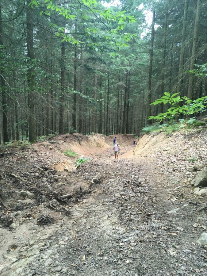Foret Enchantee De Bourgogne La Celle-En-Morvan Eksteriør bilde